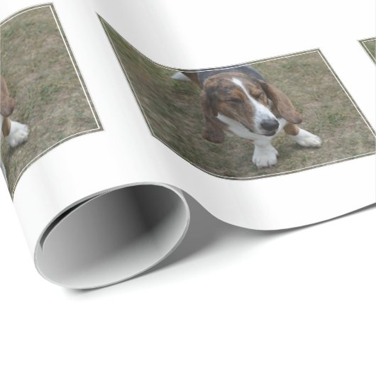 Sweet Basset Hound Cadeaupapier (Rol Hoek)