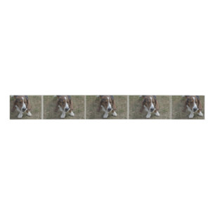 Sweet Basset Hound Grosgrain Lint