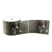 Sweet Basset Hound Grosgrain Lint (Spoel)