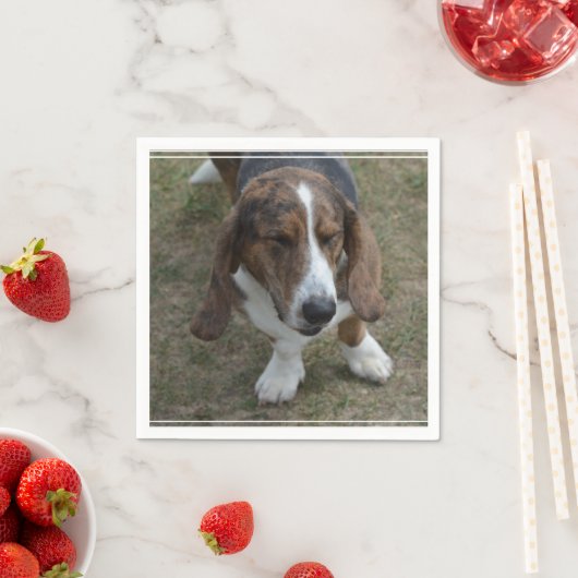 Sweet Basset Hound Servetten (Insitu)
