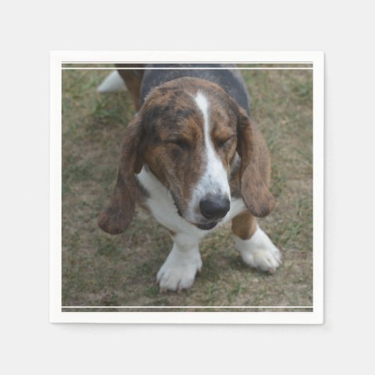 Sweet Basset Hound Servetten (Voorkant)