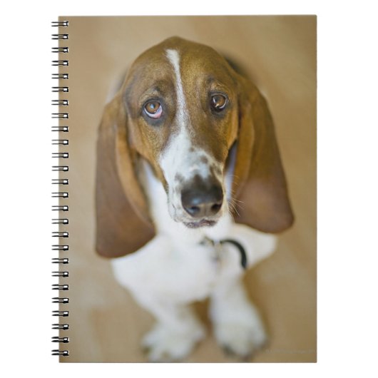 Sweet Bassett Hound Notitieboek (Voorkant)