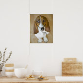 Sweet Bassett Hound Poster (Keuken)