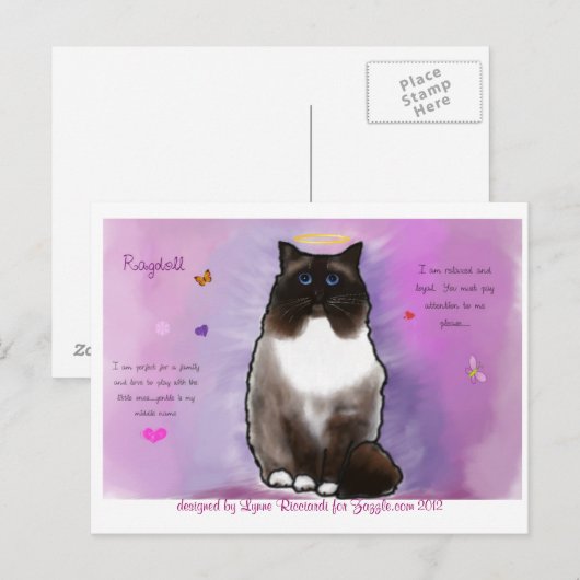 Sweet Beauful Ragdoll Briefkaart (Voorkant / Achterkant)