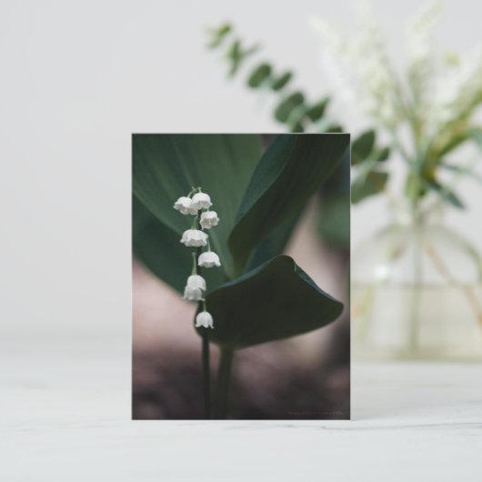 Sweet Bells Briefkaart (Staand voorkant)