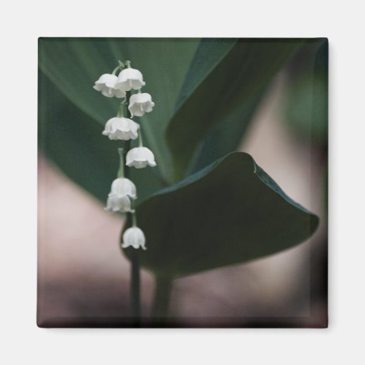 Sweet Bells Magnet (Voorkant)