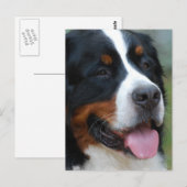 Sweet Bernese Briefkaart (Voorkant / Achterkant)