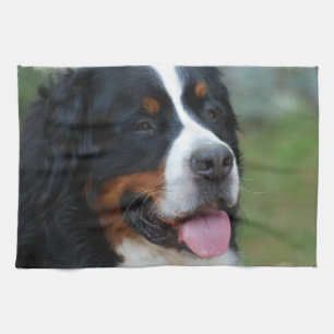 Sweet Bernese Kitchen Towel Theedoek