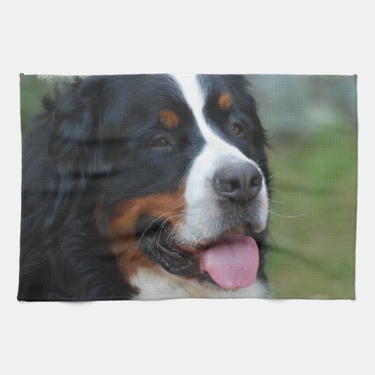 Sweet Bernese Kitchen Towel Theedoek (Horizontaal)
