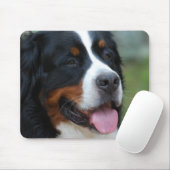 Sweet Bernese Muismat (Met muis)