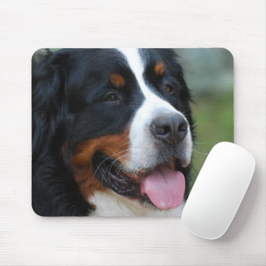 Sweet Bernese Muismat (Met muis)
