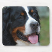 Sweet Bernese Muismat (Voorkant)