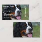 Sweet Bernese Visitekaartjes (Voorkant / Achterkant)
