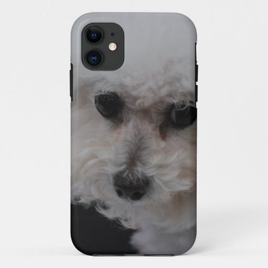 Sweet Bichon Frise Case-Mate iPhone Case (Achterkant)