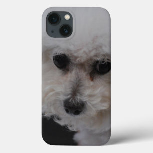 Sweet Bichon Frise Case-Mate iPhone Case