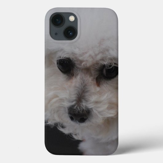 Sweet Bichon Frise Case-Mate iPhone Case (Achterkant)