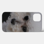 Sweet Bichon Frise Case-Mate iPhone Case (Achterkant (horizontaal))