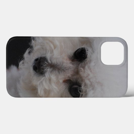 Sweet Bichon Frise Case-Mate iPhone Case (Achterkant (horizontaal))