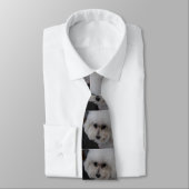 Sweet Bichon Frise Stropdas (Gebonden)