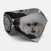Sweet Bichon Frise Stropdas (Opgerold)