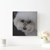 Sweet Bichon Frise Vierkante Klok (Huis)