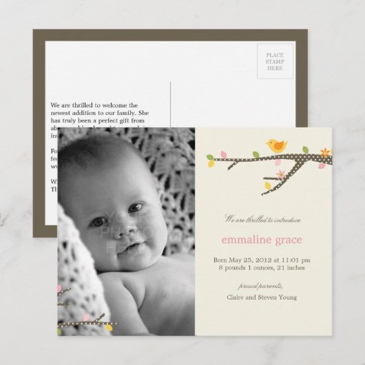 Sweet Birdie Baby Geboorteaankondiging Aankondigingskaart (Voorkant / Achterkant)