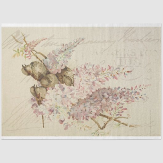 Sweet Birdie-meubelpapier Tissuepapier (Voorkant)