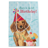 Sweet Birthday Longhaire Dachshund Medium Cadeauzakje (Voorkant)