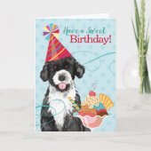 Sweet Birthday Portugal Water Dog Kaart (Voorkant)