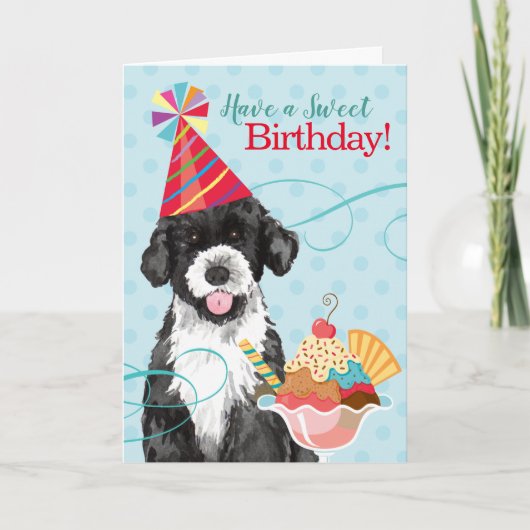 Sweet Birthday Portugal Water Dog Kaart (Voorkant)