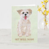 Sweet Biscuit Get Well Kaart (Gele Bloem)