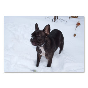Sweet Black French Bulldog Likert sneeuw Kaart