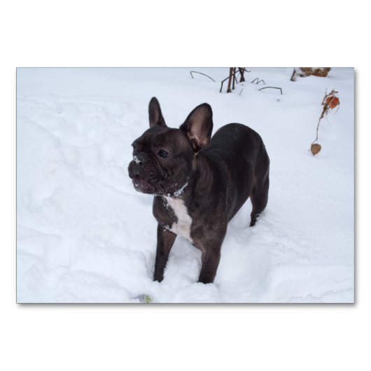 Sweet Black French Bulldog Likert sneeuw Kaart (Voorkant)