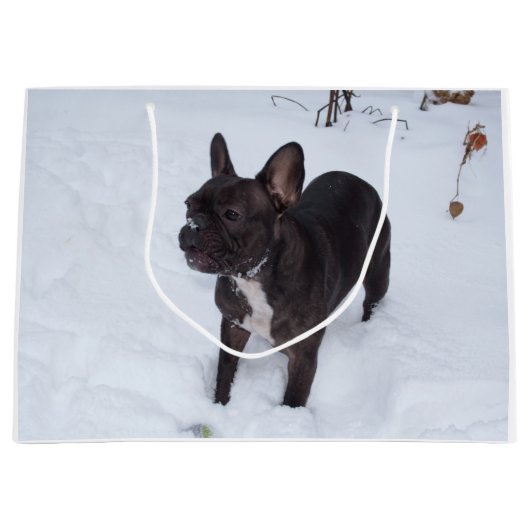 Sweet Black French Bulldog Likert sneeuw Large Cadeautasje (Voorkant)