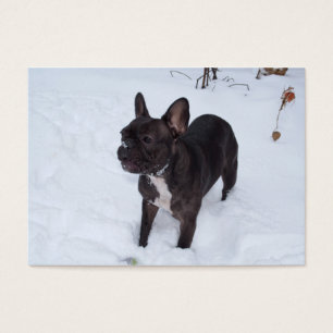 Sweet Black French Bulldog Likert sneeuw Visitekaartjes