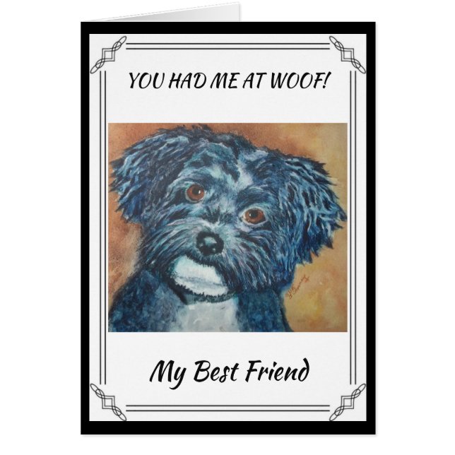 SWEET BLACK HAVANESE (Voorkant)