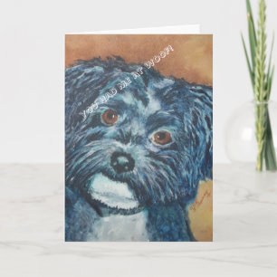 SWEET BLACK HAVANESE   WENSKAART KAART