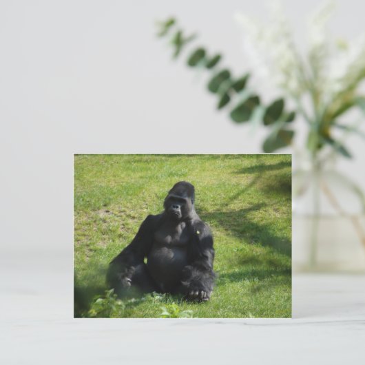 Sweet Black Monkey Gorilla Briefkaart (Staand voorkant)