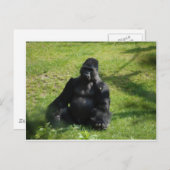 Sweet Black Monkey Gorilla Briefkaart (Voorkant / Achterkant)