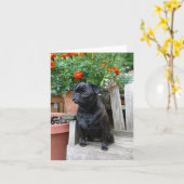Sweet Black Pug Note Card - wit Kaart (Gele Bloem)