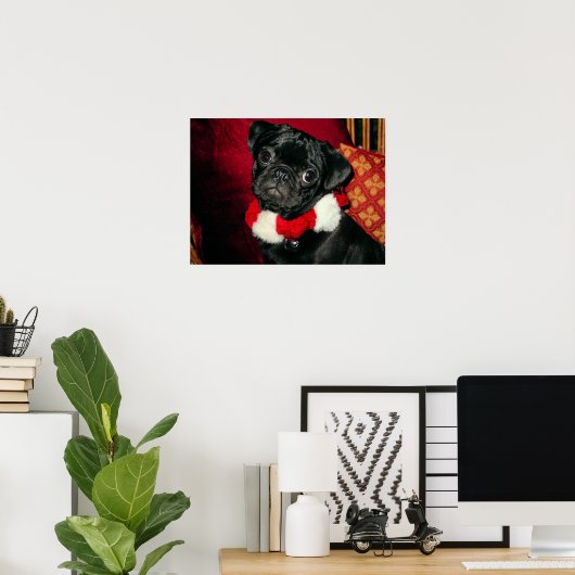 Sweet Black Pug Poster (Thuiskantoor)