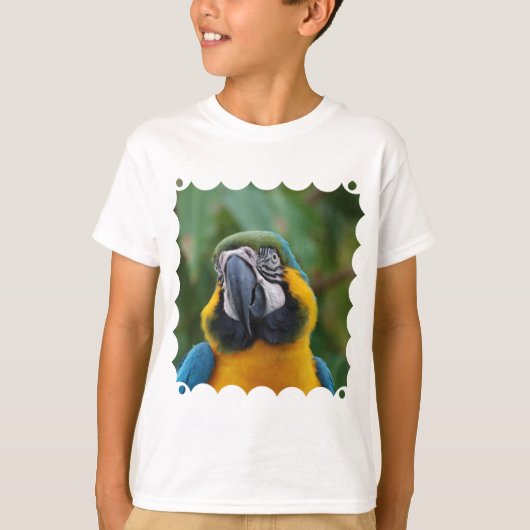 Sweet Blue en Gold Macaw T-shirt (Voorkant)