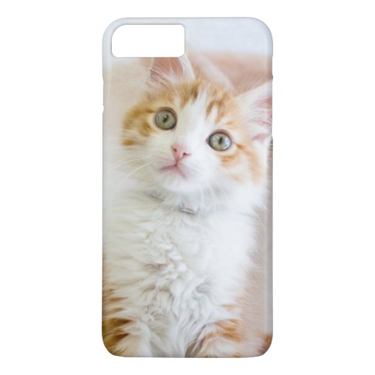 Sweet Blue Eyed Kat Case-Mate iPhone Case (Achterkant)