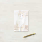 Sweet Blue Eyed Kat Post-it® Notes (Op bureau)
