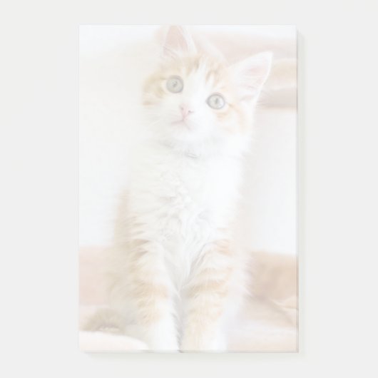 Sweet Blue Eyed Kat Post-it® Notes (Voorkant)
