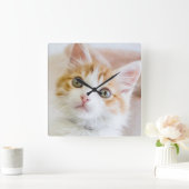 Sweet Blue Eyed Kat Vierkante Klok (Huis)