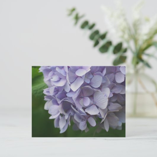 Sweet Blue Hydrangea Flower Photo Briefkaart (Staand voorkant)