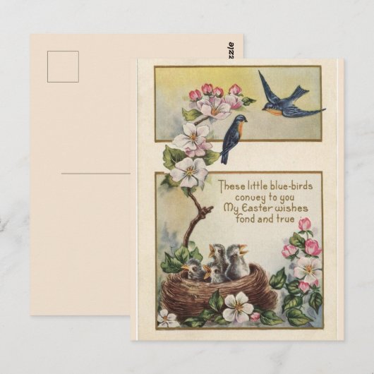  Sweet Bluebirds Paasgroeten Bericht Briefkaart (Voorkant / Achterkant)