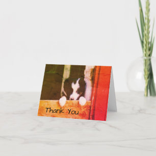 Sweet Border Collie Puppy Dog Art Hartelijk dank Bedankkaart