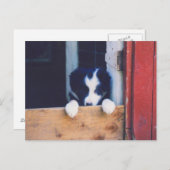 Sweet Border Collie Puppy Dog Briefkaart (Voorkant / Achterkant)